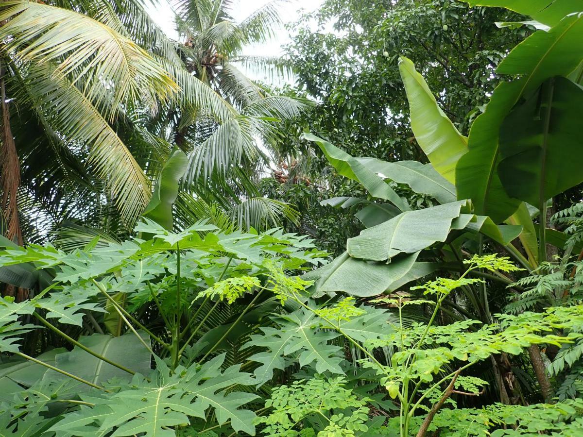 Fuvahmulah Inn 外观 照片