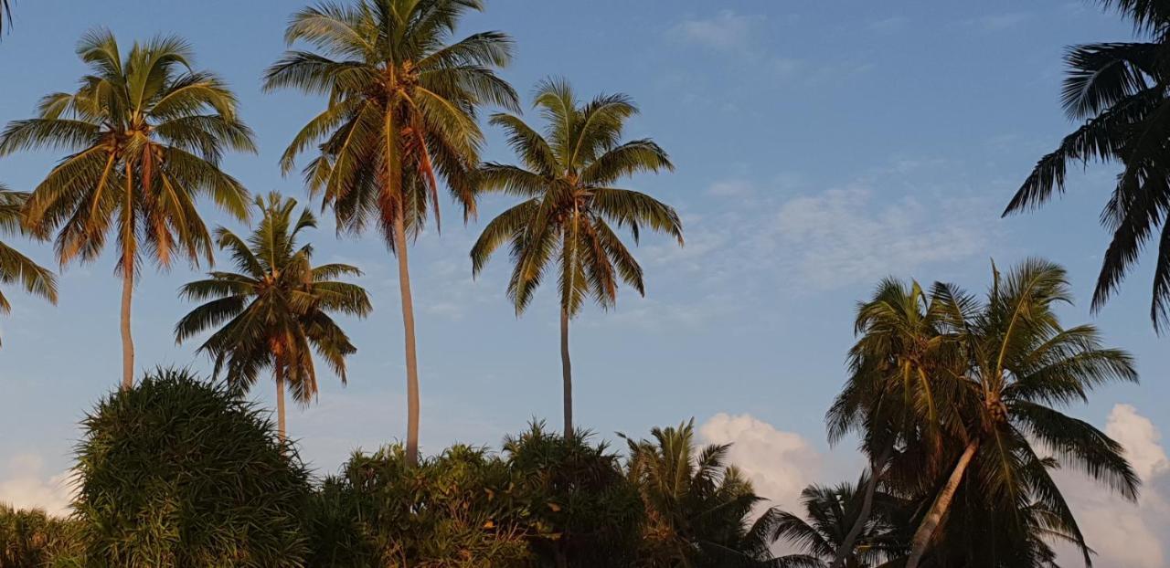 Fuvahmulah Inn 外观 照片